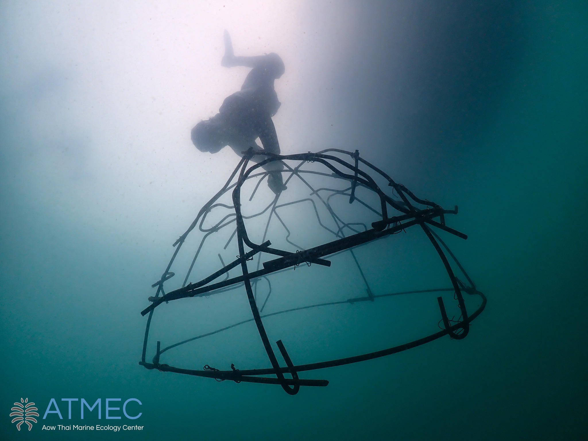 Love Wildlife Foundation image